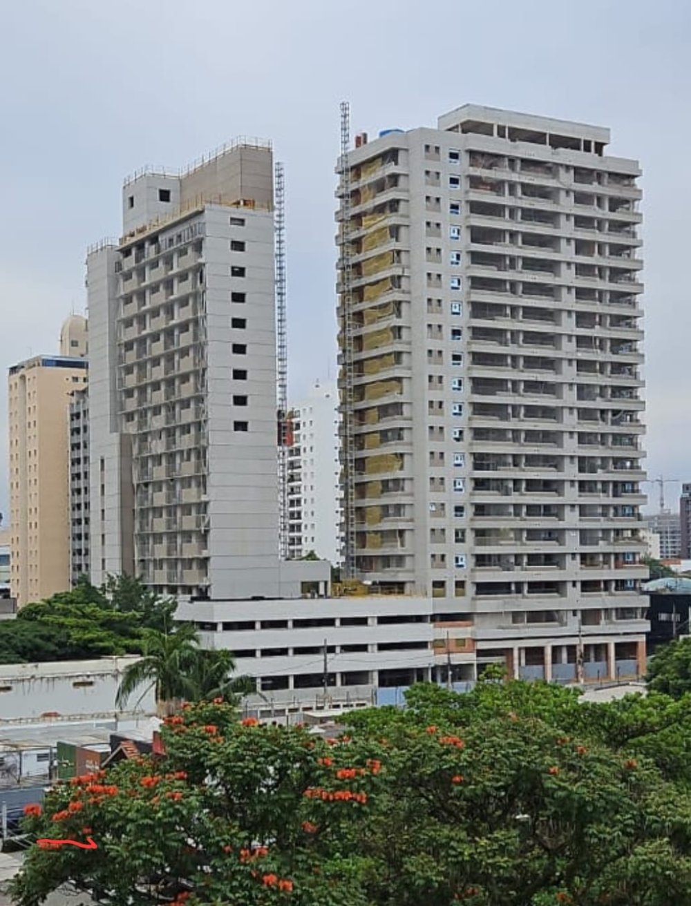 Apartamento - Venda - Moema - So Paulo - SP